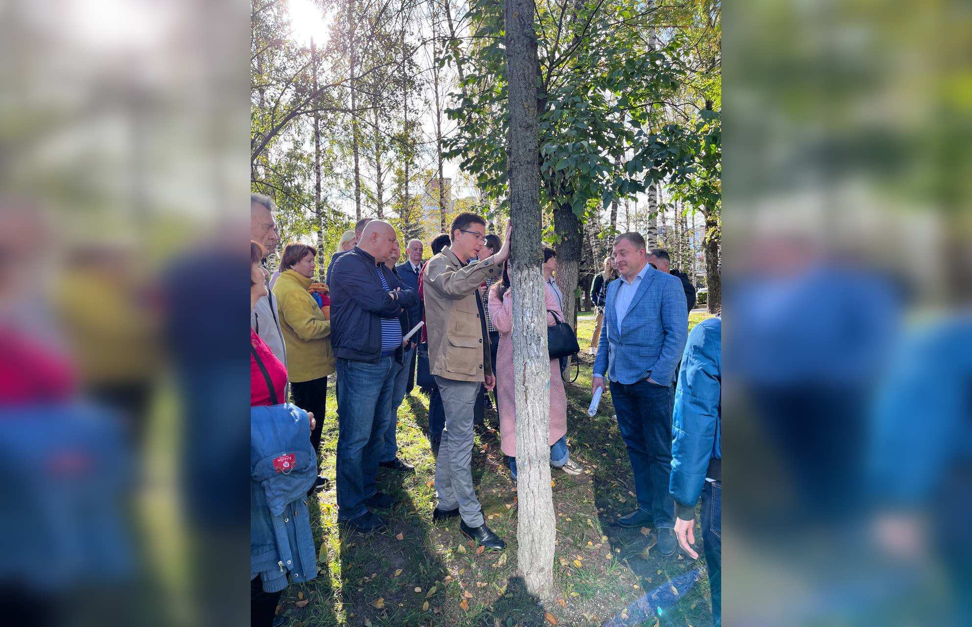 Нижегородцы просят Путина остановить вырубку аллеи в Щербинках - фото 1