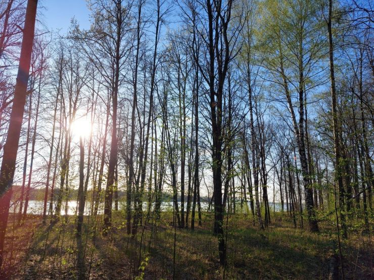 20 гектаров земли на берегу Волги продаются за 120 млн рублей возле Нижнего Новгорода - фото 1