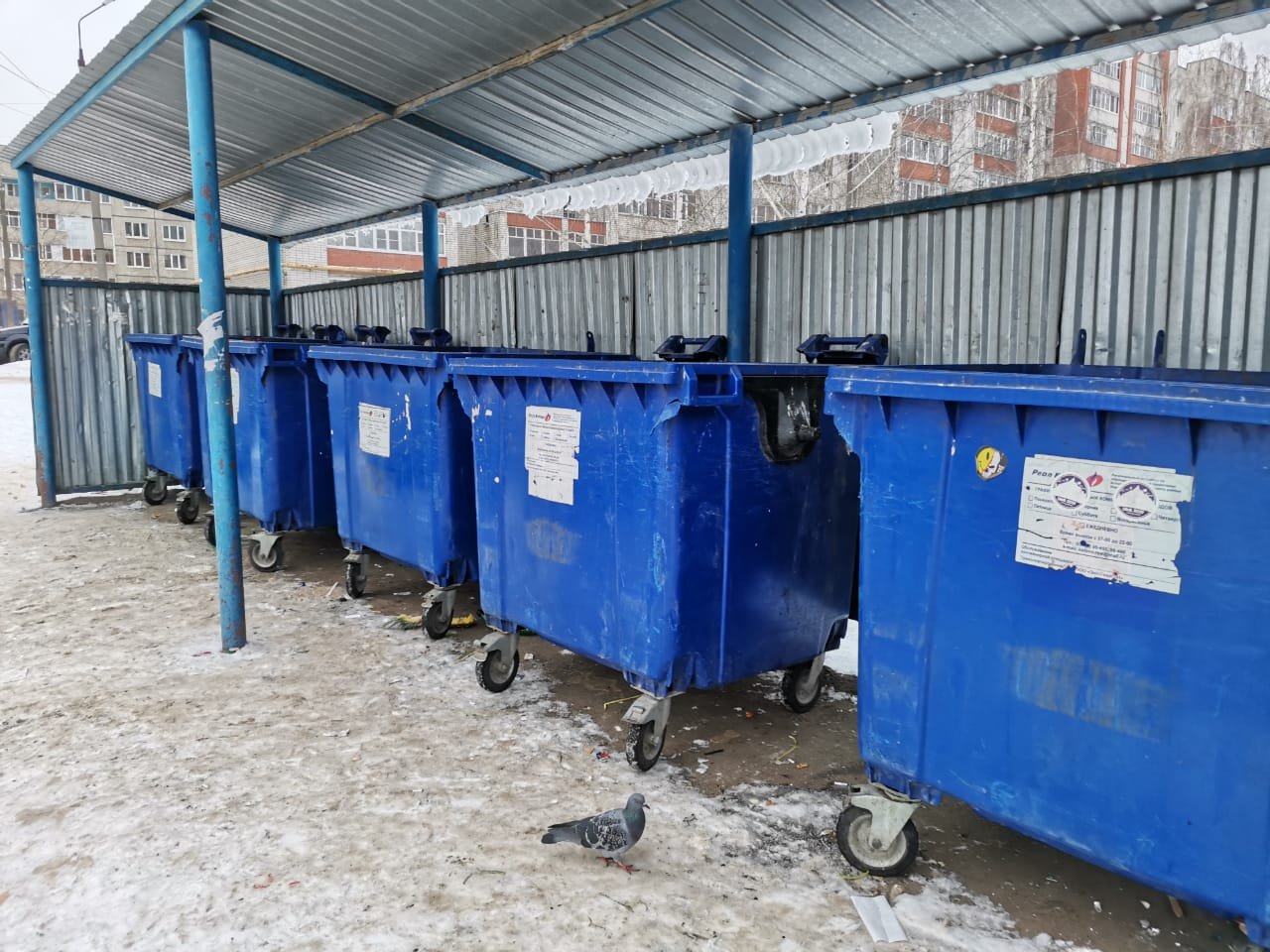 Свыше 700  "мусорных" нарушений зафиксировано в Нижегородском регионе за праздничные дни