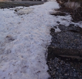 Ход строительства дома 204 в ЖК Ботаника Грин Хаус -