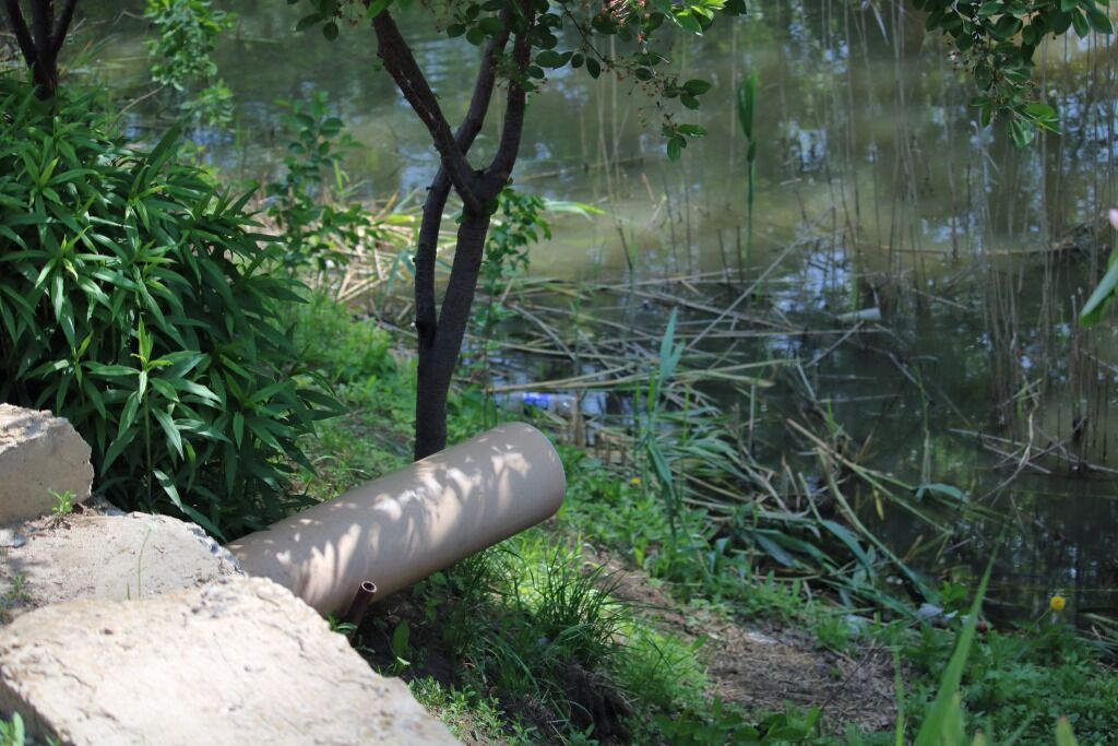 На Дону расчистят более 17 км русла реки Быстрая в 2027-2029 гг. - фото 1