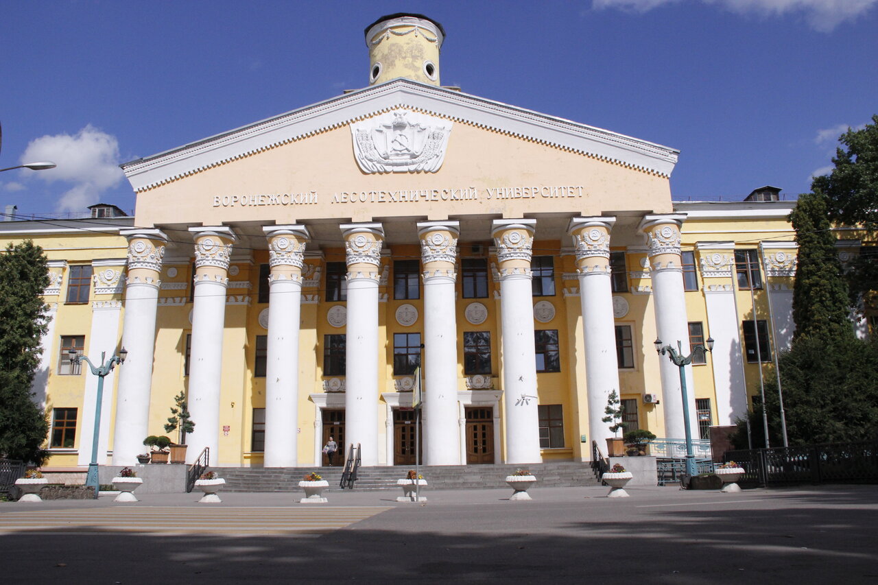 Подрядчик заплатит 100 тыс. рублей за разрушение колонны воронежского лестеха - фото 1