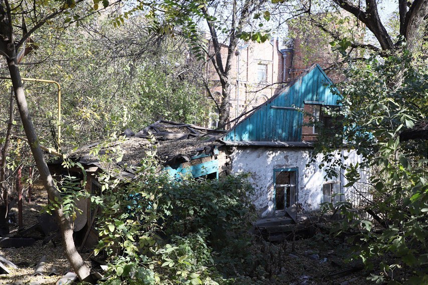 Глава администрации Ростова заявил, что в роще на левом берегу Дона не будут строить ЖК