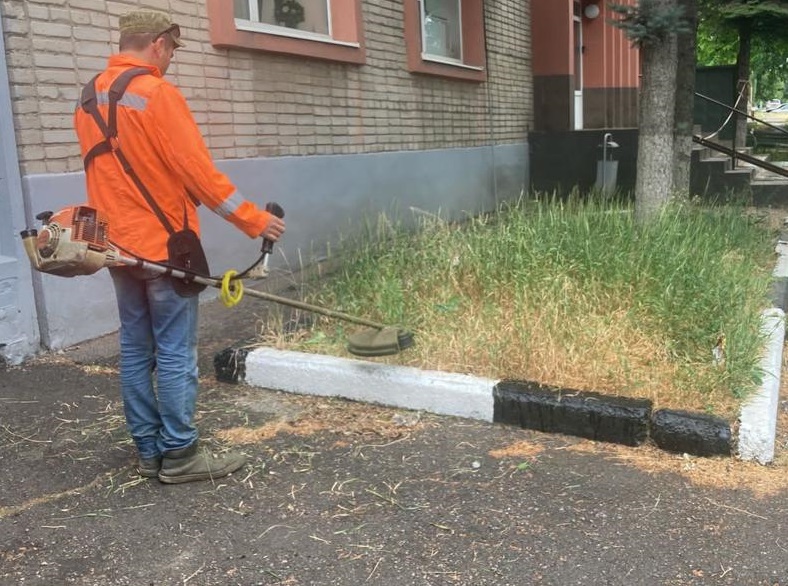 В Ростове-на-Дону сезонный покос сорняков выполнен на треть - фото 1