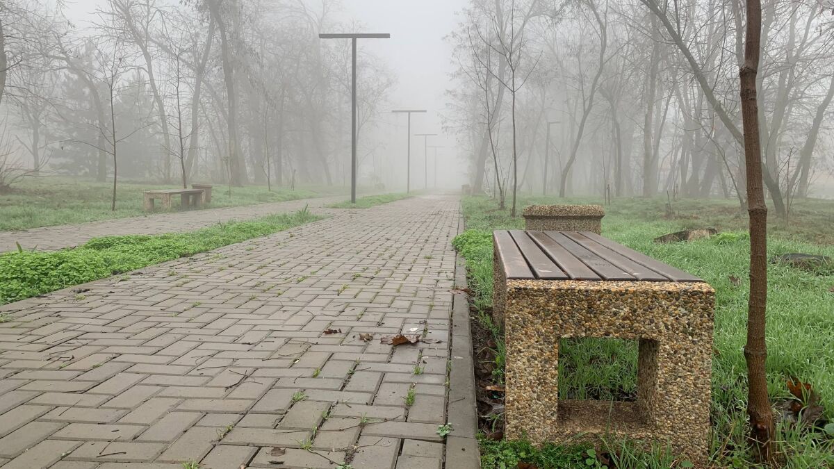 Народный выбор: в Аксае завершили благоустройство сквера на улице Ермака - фото 2