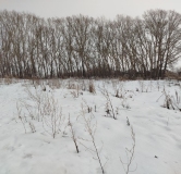 Ход строительства дома 11 в ЖК Расцветай на Зорге -